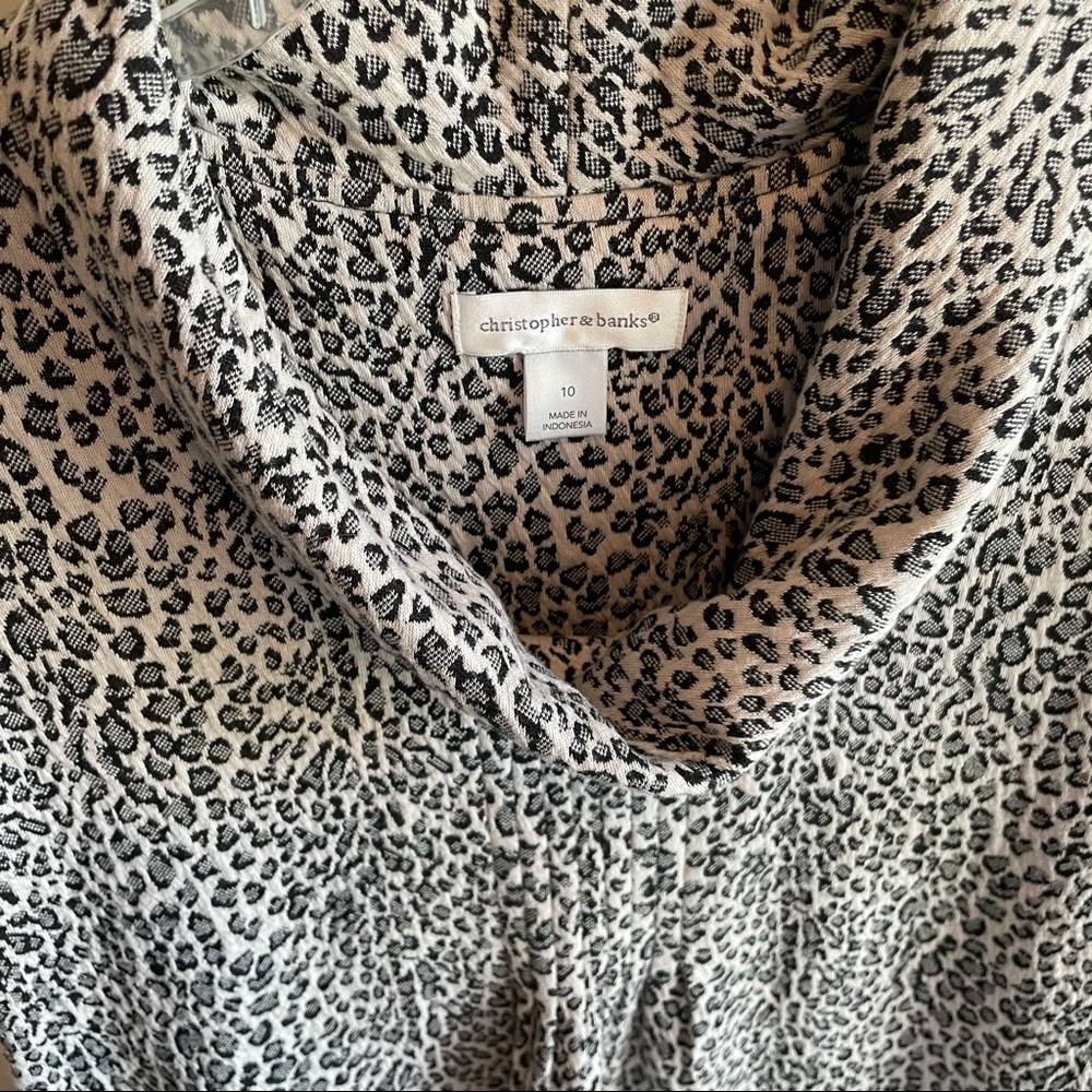 Christopher & Banks dress size 10